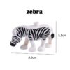 zebra